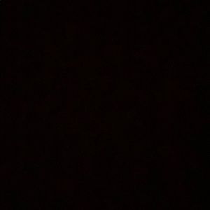 Meet your Posher, Leonardo